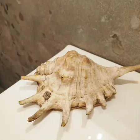 La Casetta Con Giardino A 30 M Dal Mare *