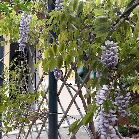 Villa La Casetta Con Giardino A 30 M Dal Mare *