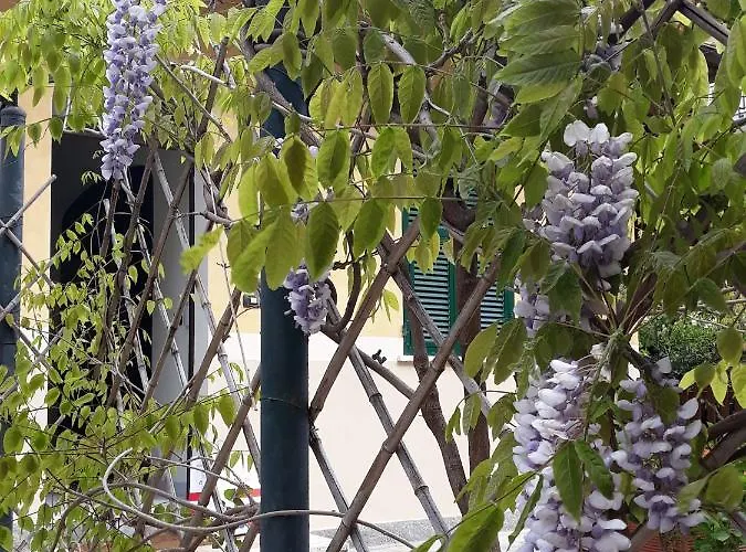Villa La Casetta Con Giardino A 30 M Dal Mare *